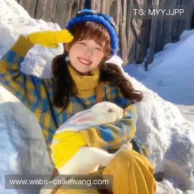 杜岩辰